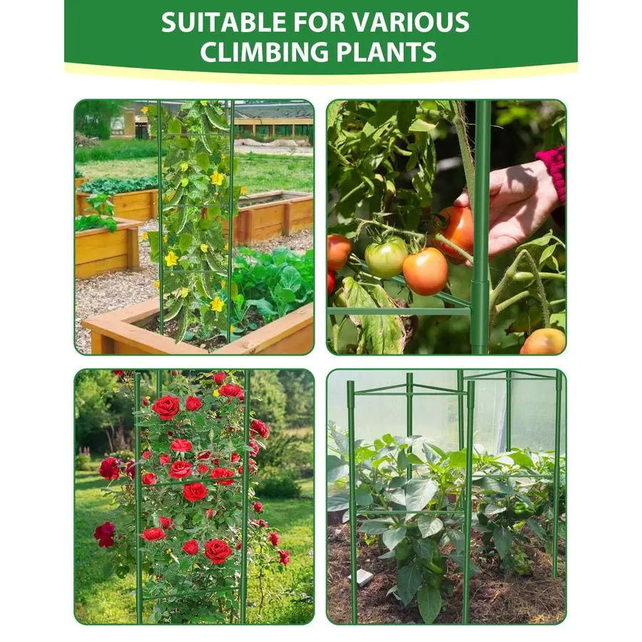 Adjustable Tomato Cages for Garden Stakes and Trellis Support