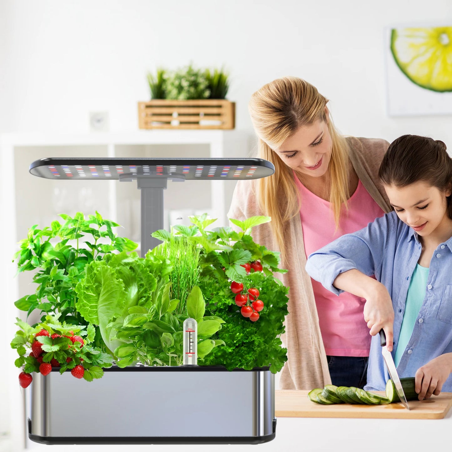 BHTNYOO Hydroponics Growing System Kit For Indoor Herbs Garden LED