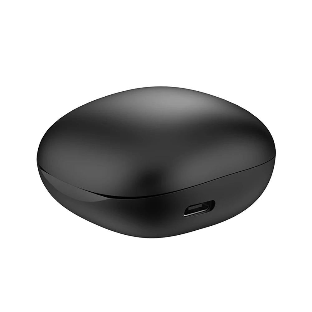 Alloyseed 144 Languages Real Time Translation Earbuds